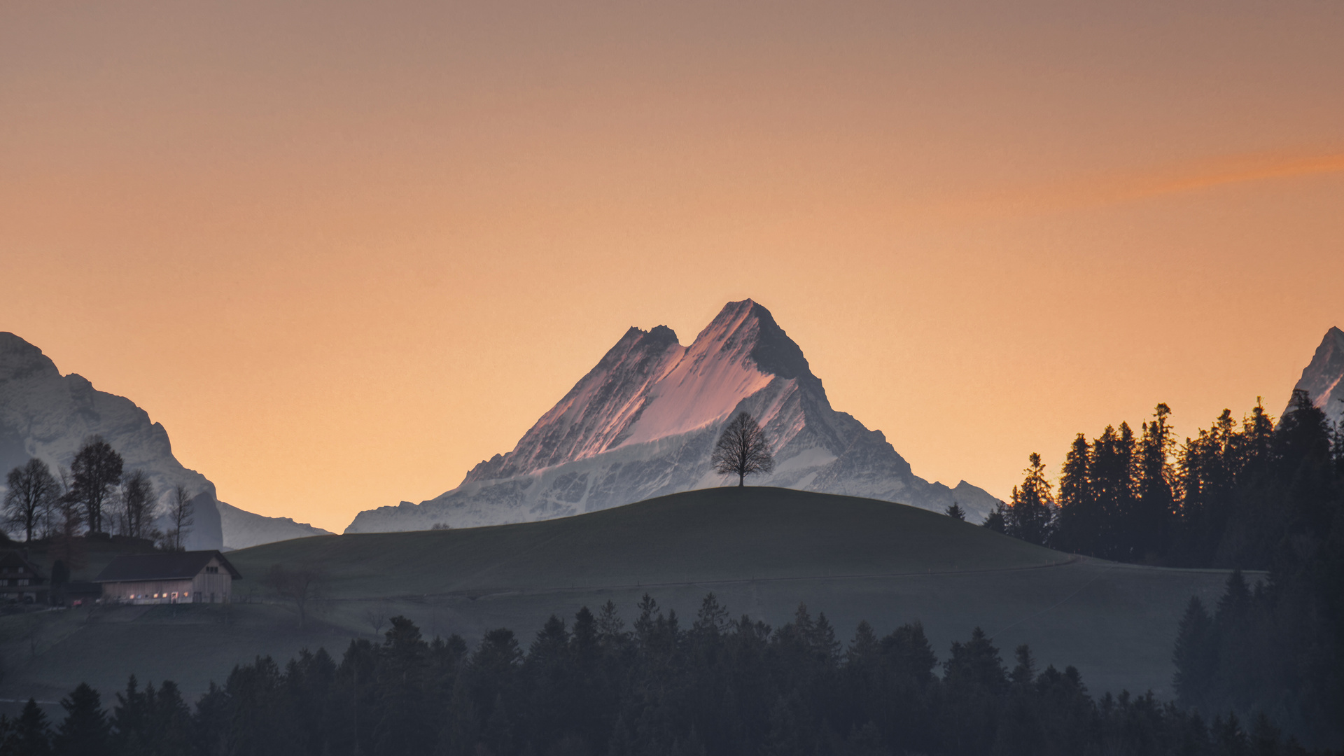 Schreckhorn 