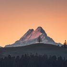 Schreckhorn 