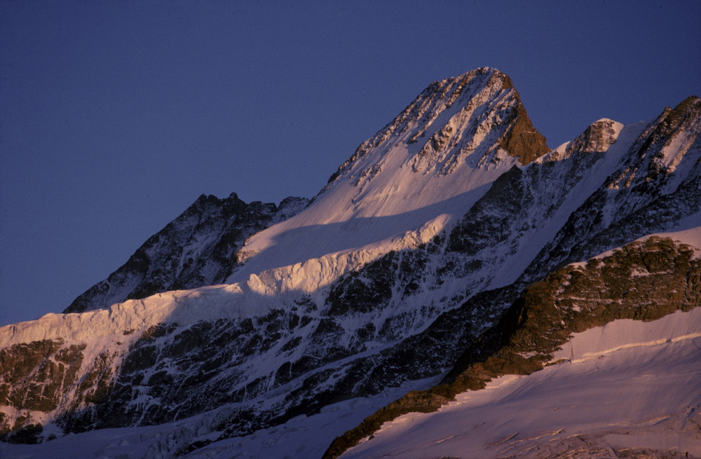 Schreckhorn 1