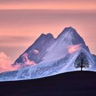 Schreckhorn