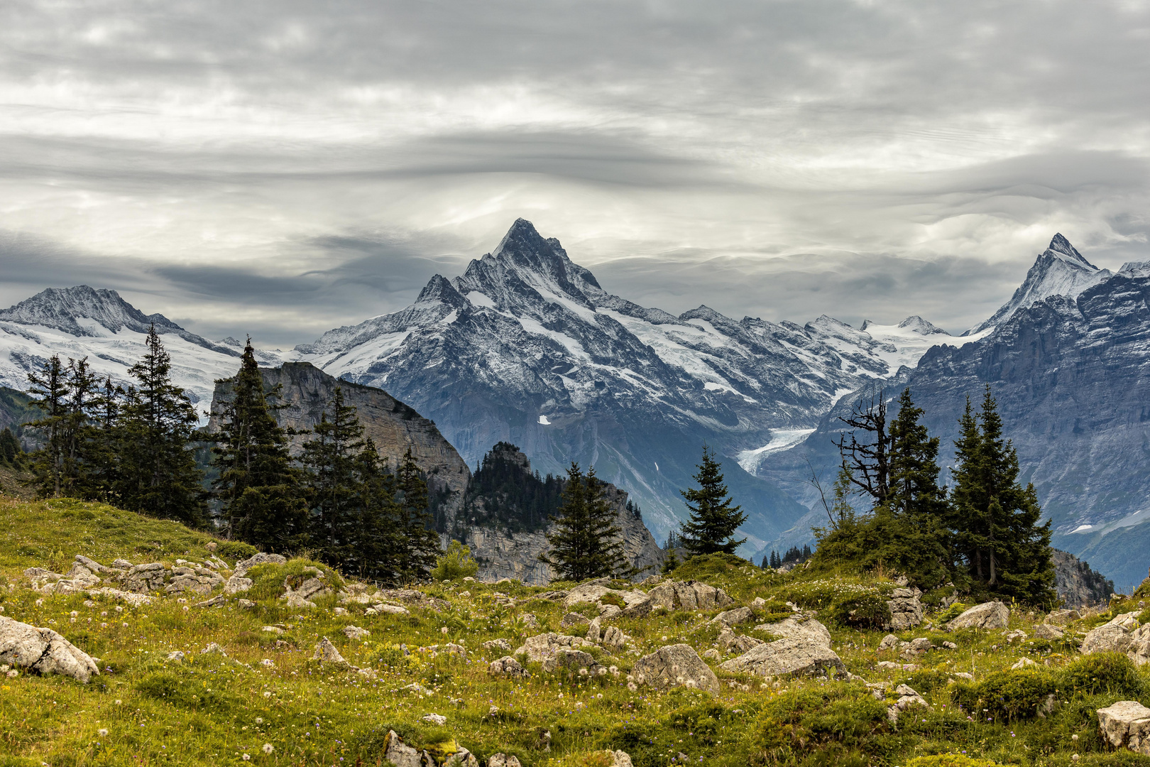 Schreckhorn