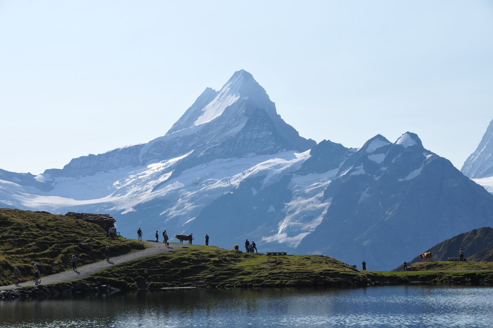 Schreckhorn