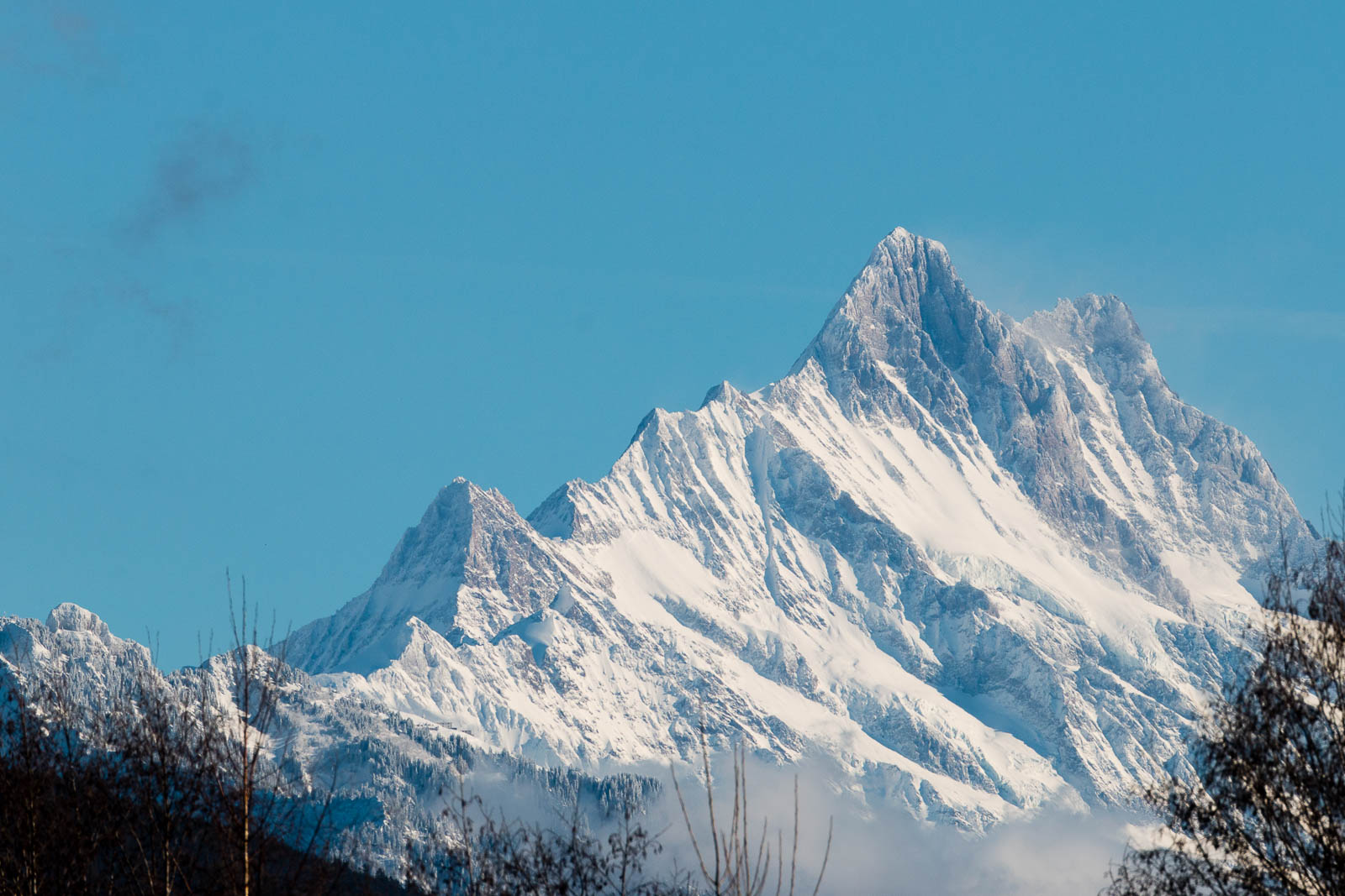 Schreckhorn | Berner Oberland