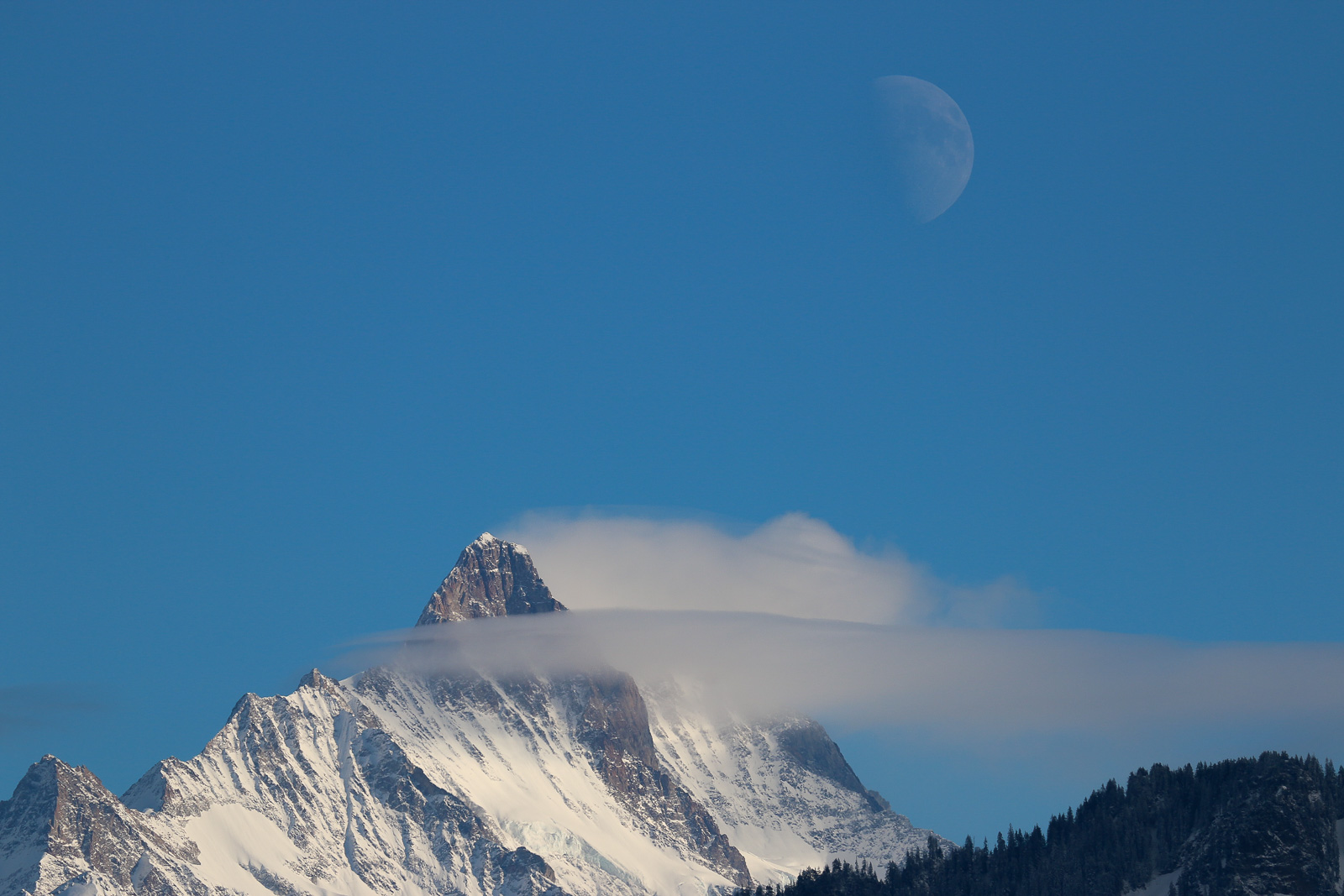 Schreckhorn Berner Oberland Schweiz