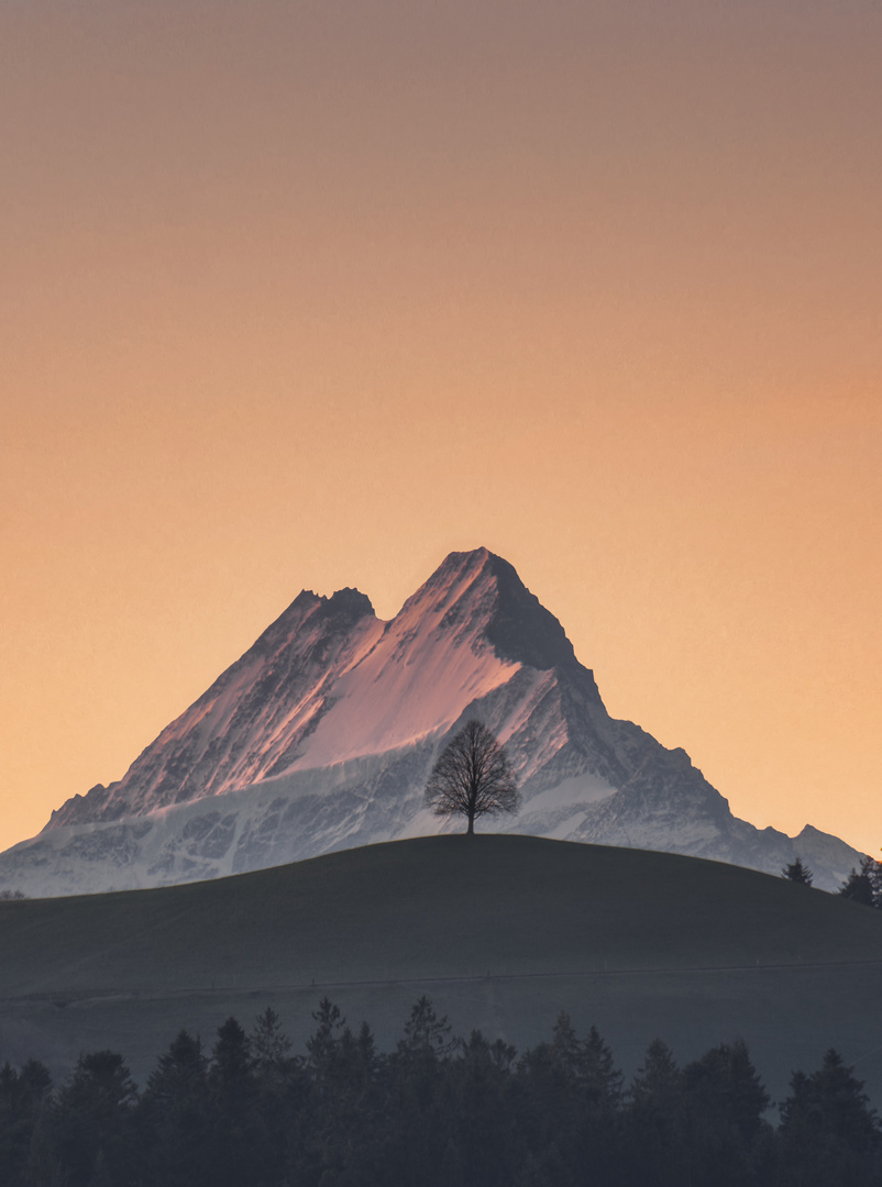 Schreckhorn