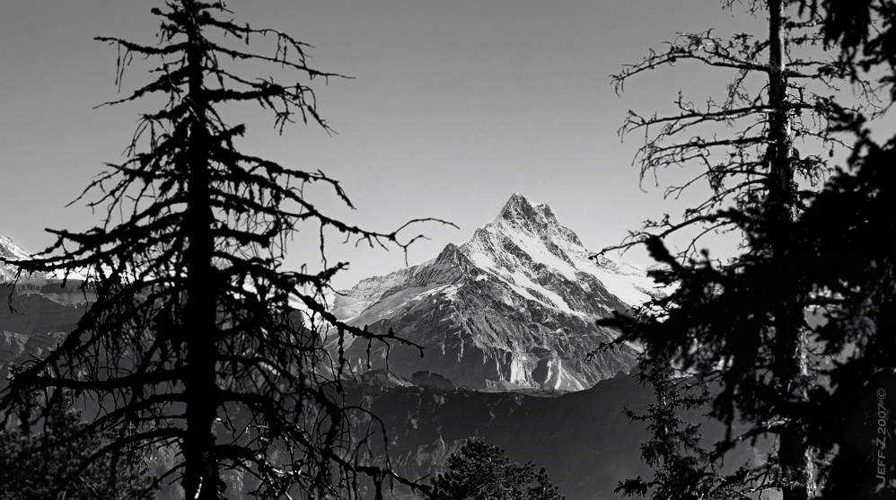 Schreckhorn, CH-Berner Oberland