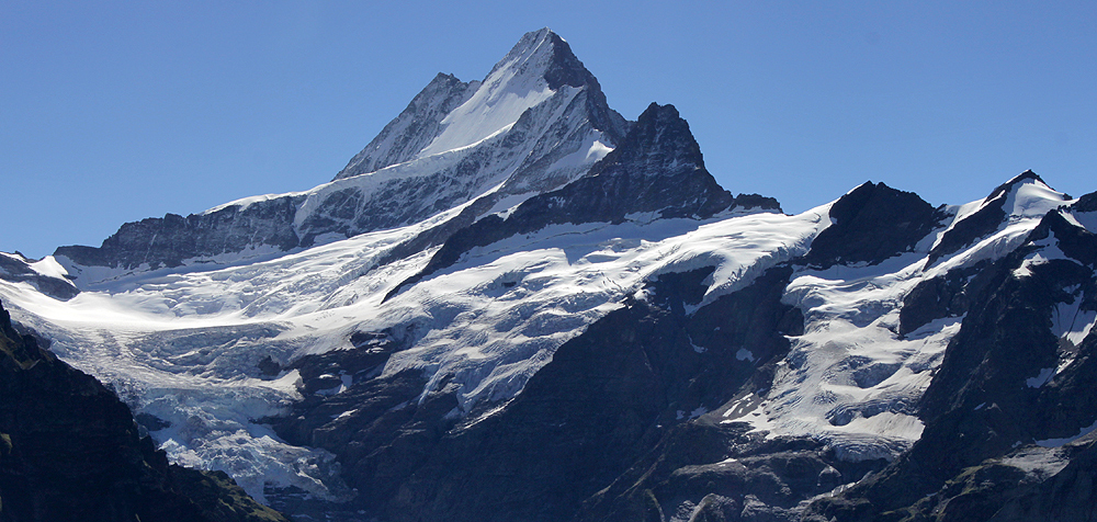 Schreckhorn