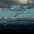 Schreckhorn