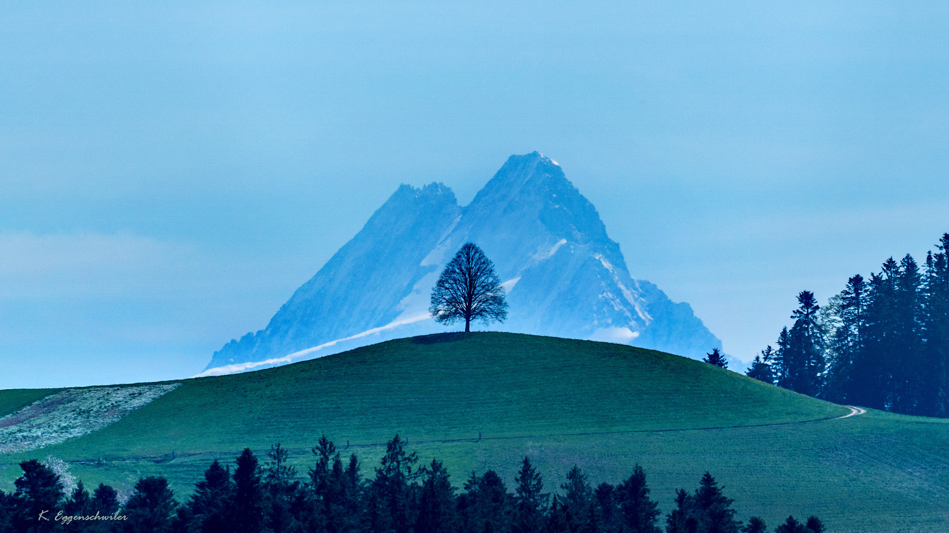 Schreckhorn mit Linde 