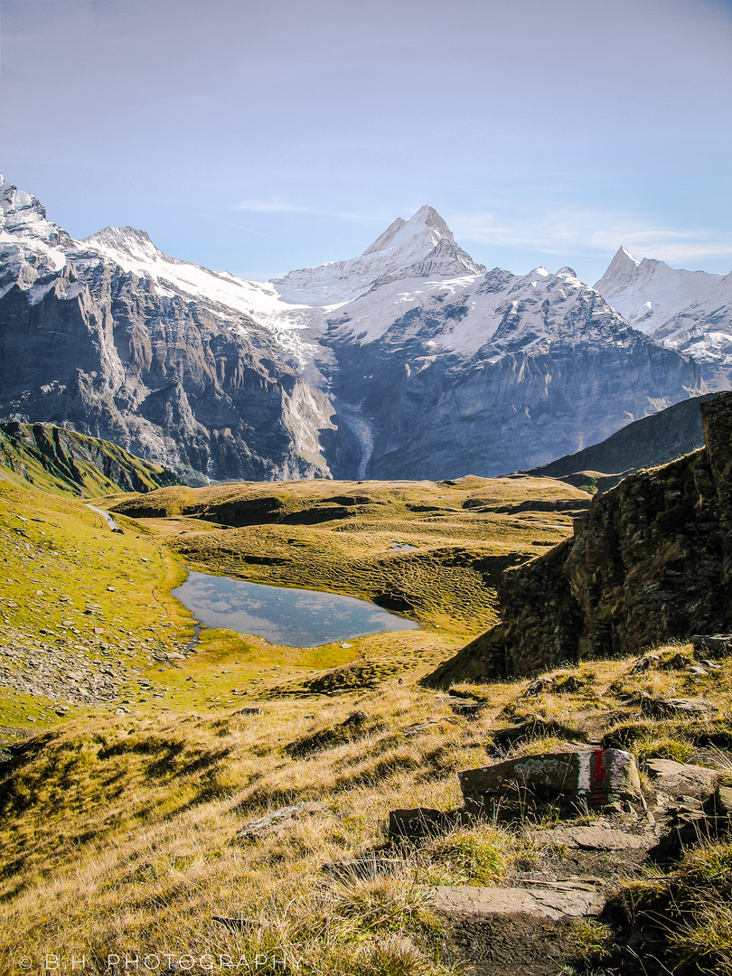 Schreckhorn und Finsteraarhorn im milden Licht des Herbstes