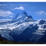 Schreckhorn und Lauteraarhorn