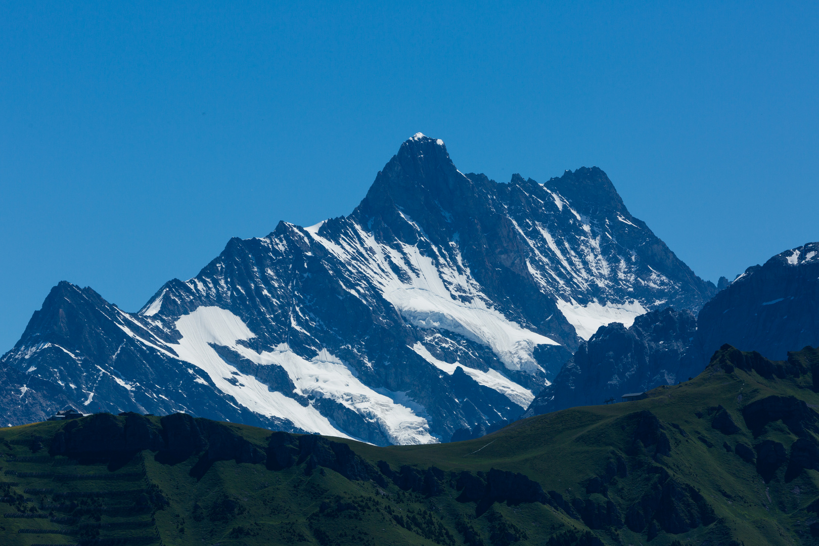 Schreckhorn und Lauteraarhorn