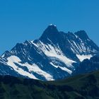 Schreckhorn und Lauteraarhorn