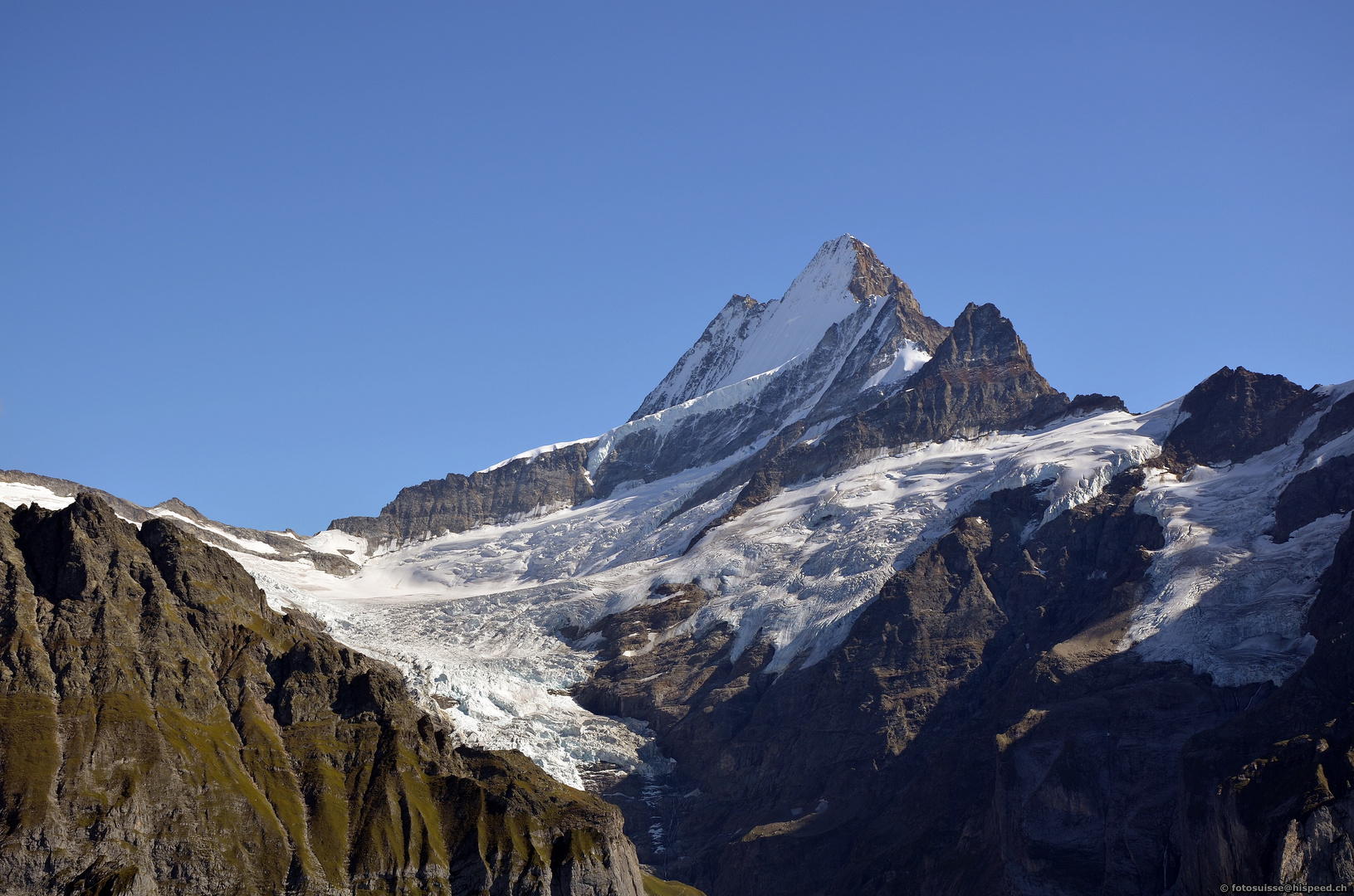 Schreckhorn und Oberer Grindelwaldgletscher 2011