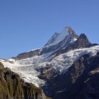 Schreckhorn und Oberer Grindelwaldgletscher 2011