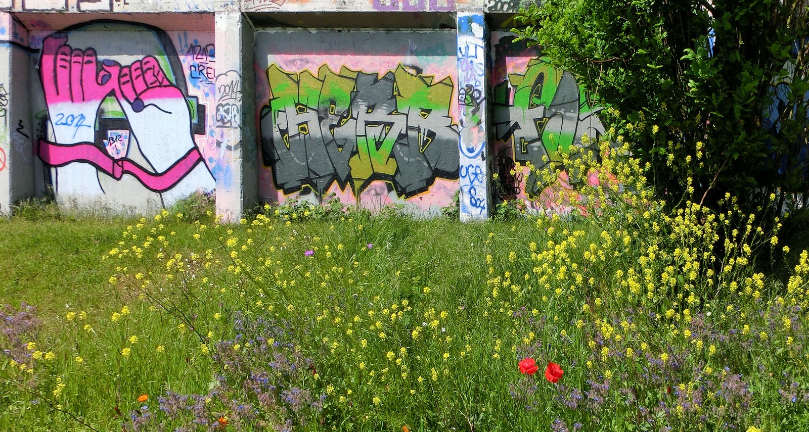 Schrecklich, diese ganze Natur da! Das kann man ja nicht mehr mit ansehen!