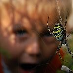 Schrecklich faszinierend! Dringend Kritik erwünscht!