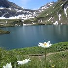 Schrecksee