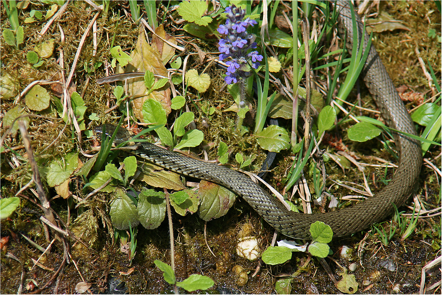 Schrecksekunde Foto & Bild fotos, natur, tiere Bilder auf
