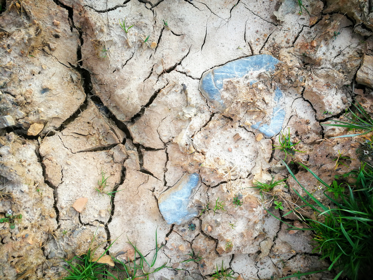 'Schrei nach Wasser' 