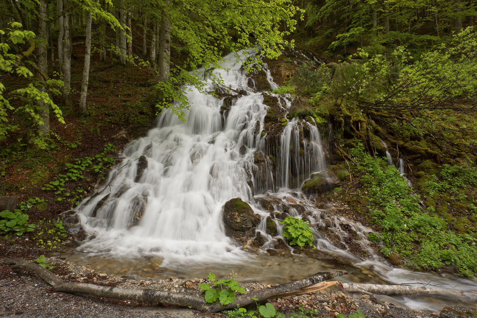 Schreiende Brunnen