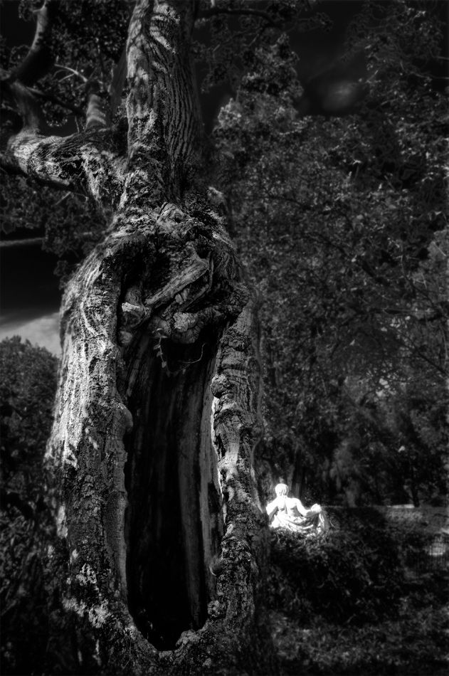 Schreiender Baum, im Hintergrund ruht ein Gnom des Waldes