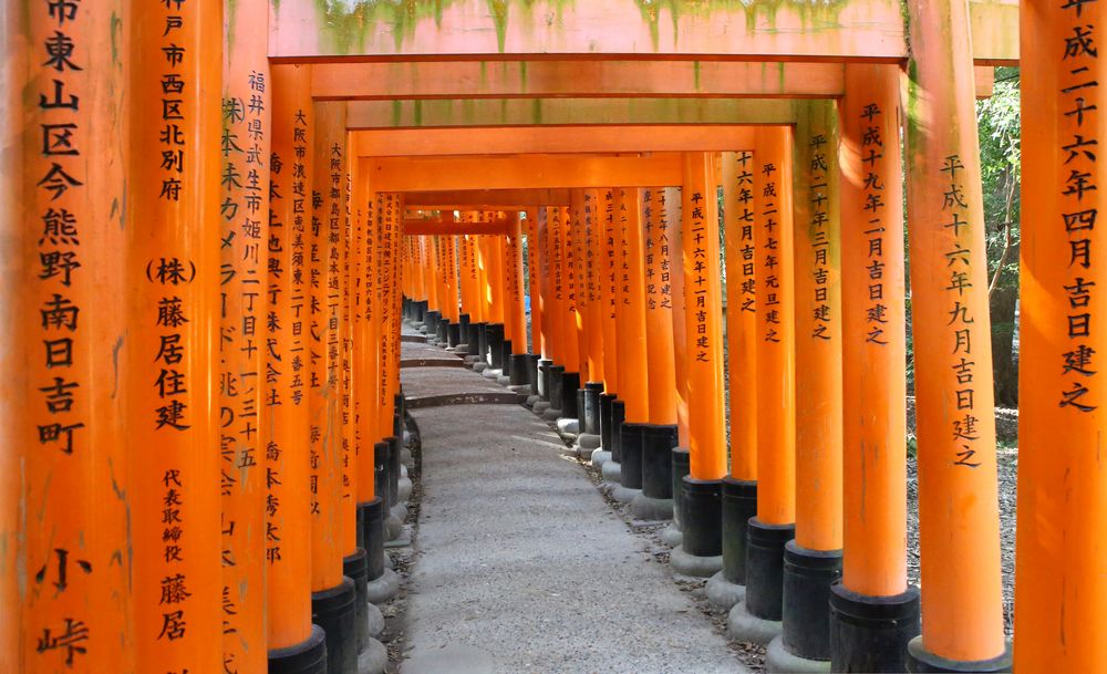 Schrein der 10.000 Torii