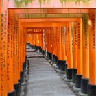 Schrein der 10.000 Torii