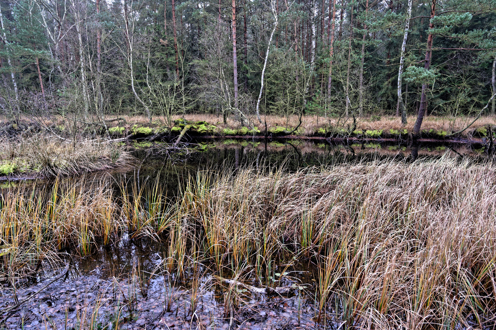 schremser moor