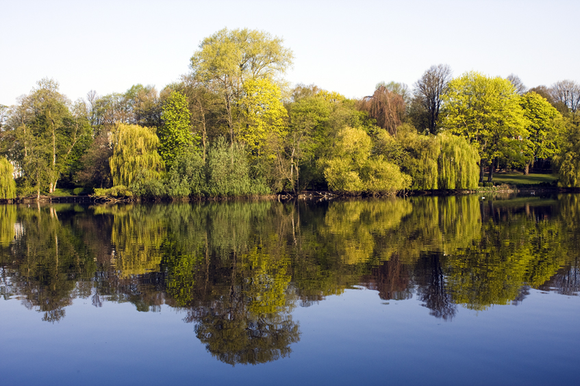 Schrevenpark Kiel 2011