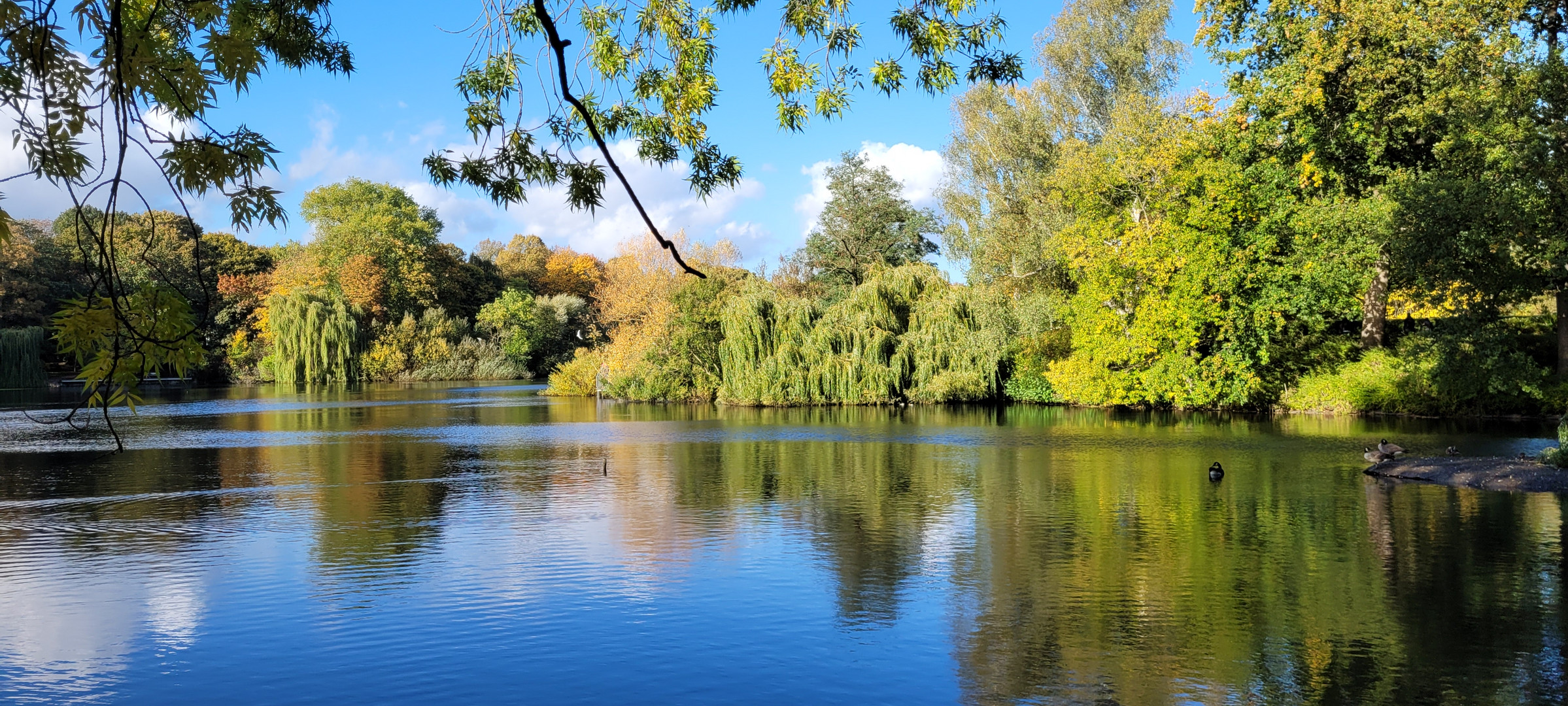 Schrevenpark Kiel