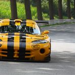 Schrey Viper am Berg in Osnabrück