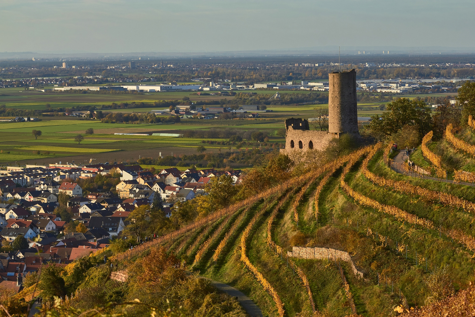 "Schriesemer" Bergstraßenherbst