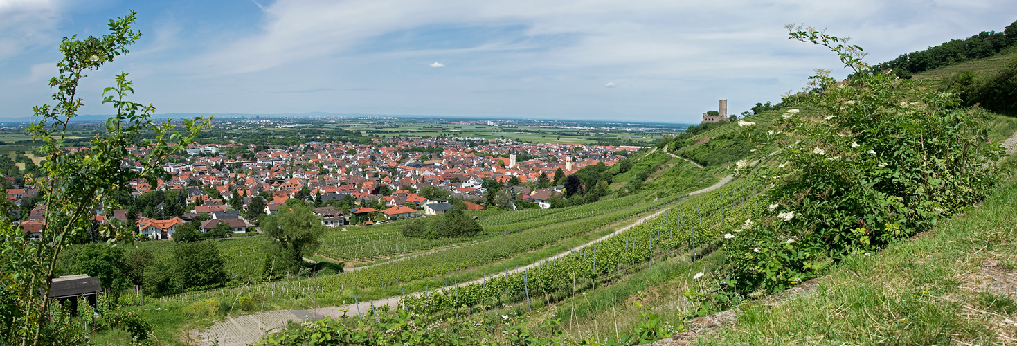 Schriesheim