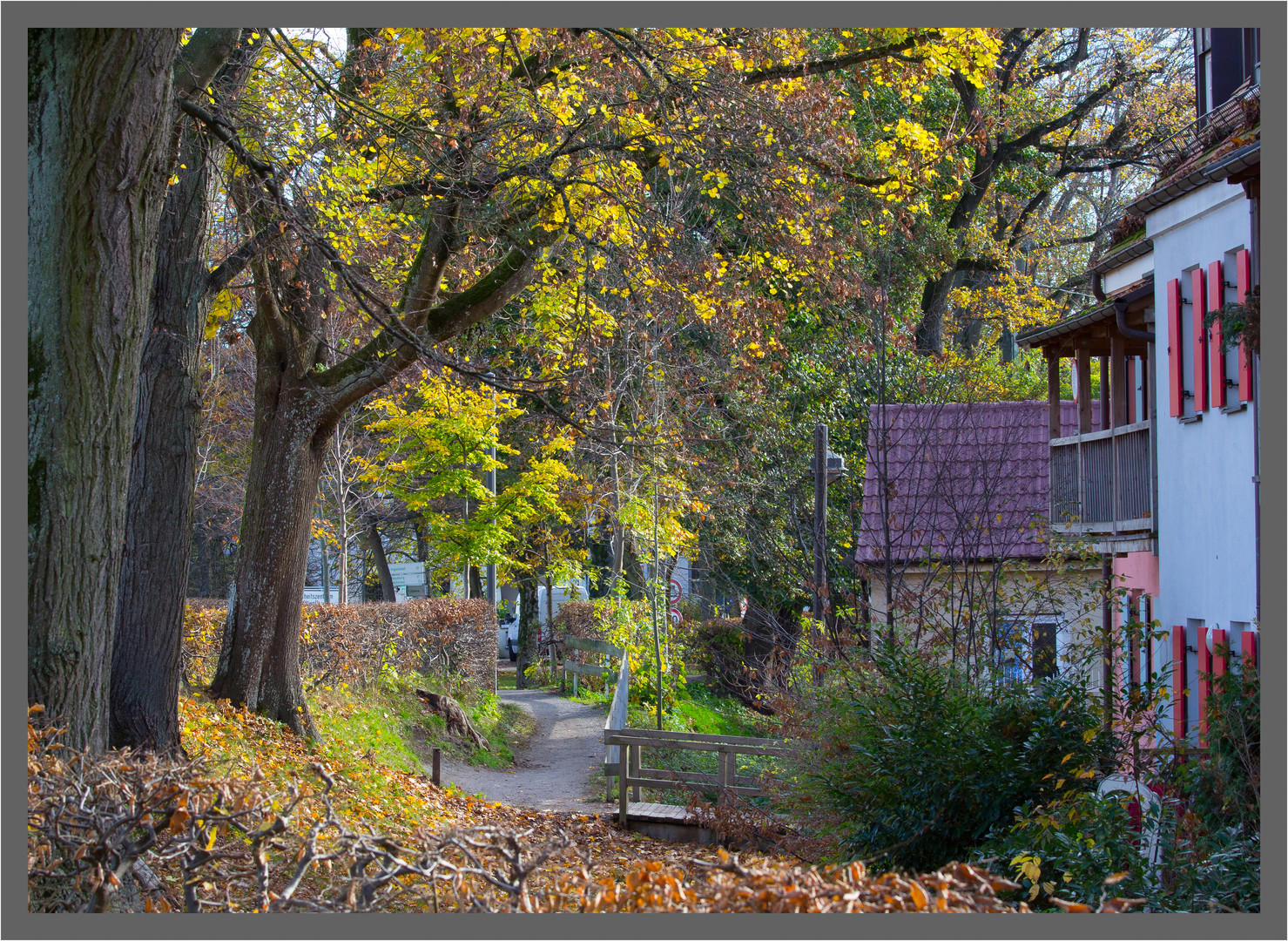 Schrobenhausen im Herbst