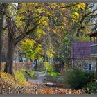 Schrobenhausen im Herbst