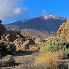 Schroffe Natur am Teide auf Teneriffa