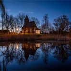 Schrotholzkirche / Wespen