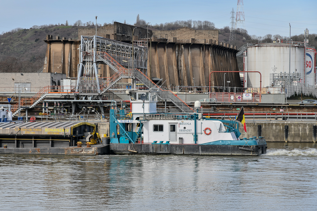 Schubboot Beluga bei Sclessin (B)