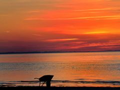 Schubkarre am Strand 2