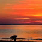 Schubkarre am Strand