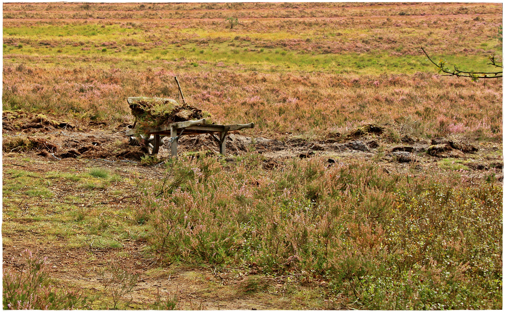 Schubkarre in der Lüneburger Heide Foto & Bild | natur, landschaften ...