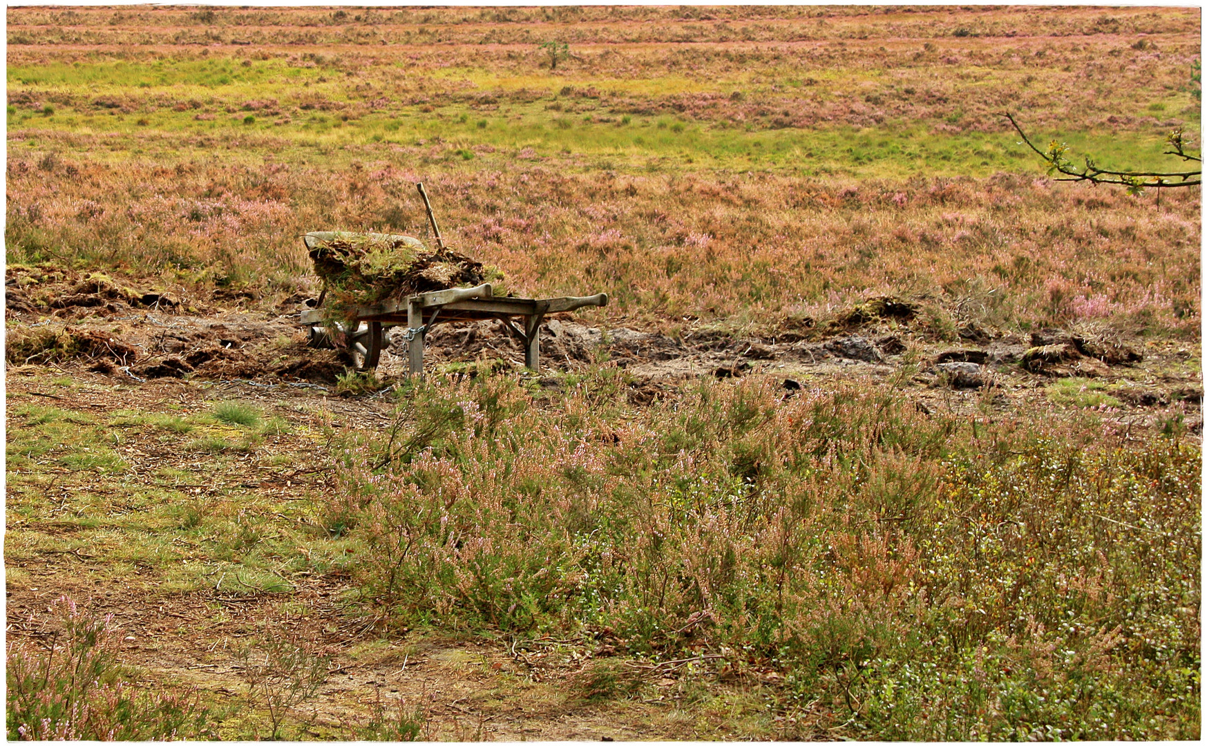 Schubkarre in der Lüneburger Heide