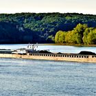 Schubverband auf dem Rhein