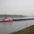 Schubverband auf dem Rhein bei Obermörmter