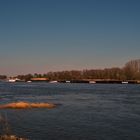 Schubverband auf der Elbe