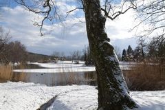 Schübelweiher 2