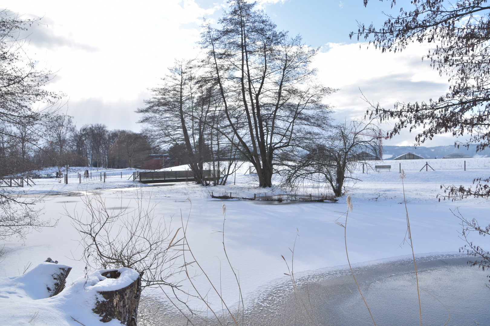 Schübelweiher Küsnacht