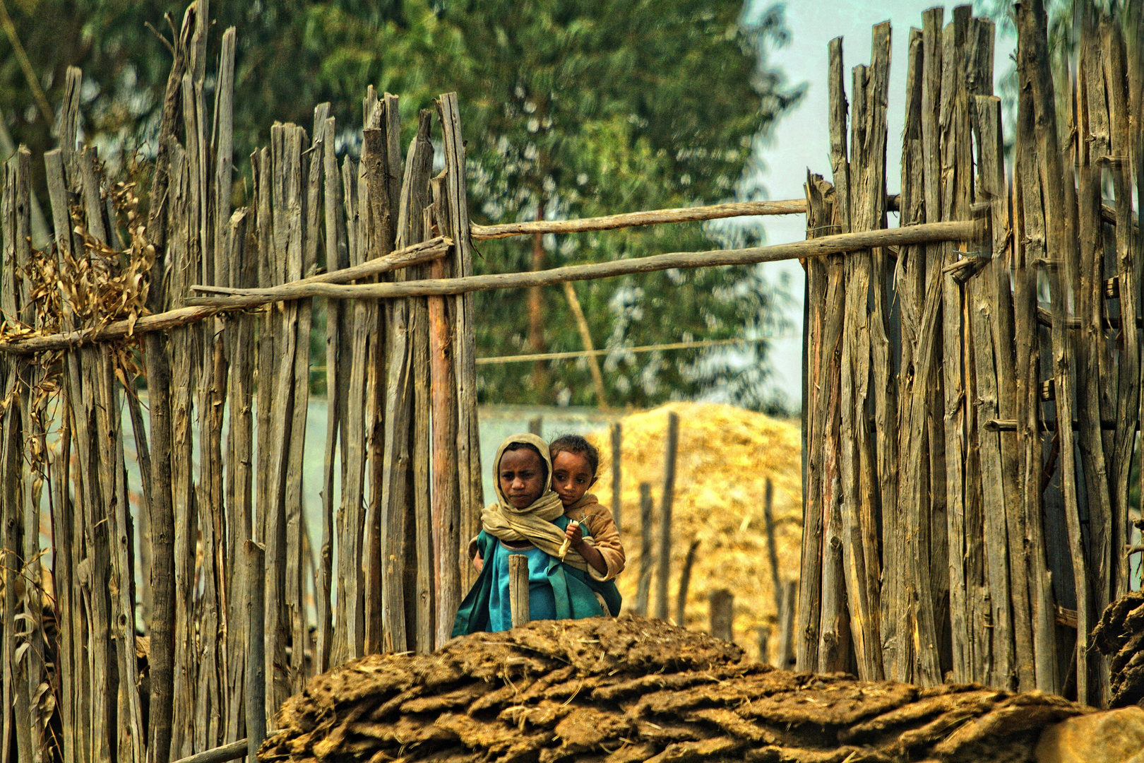 schüchtern , Äthiopien 
