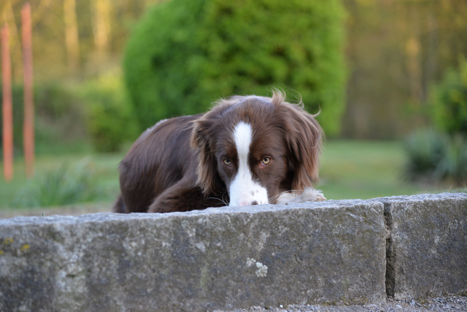 schüchterner Blick